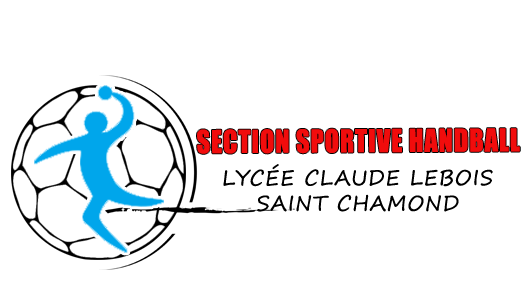 logo_section_handball.png