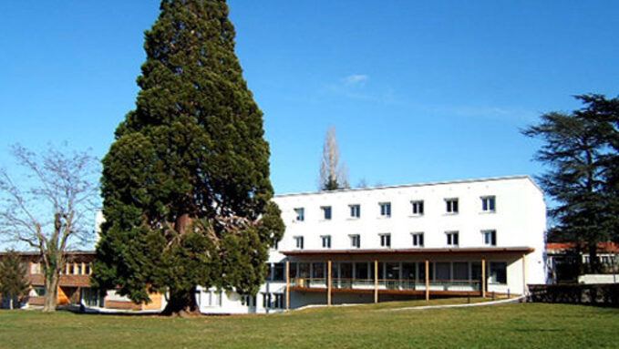 DSCF1566.jpg