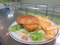 Galerie photo CREATIONS DU PREMIER TRIMESTRE 2025/2026